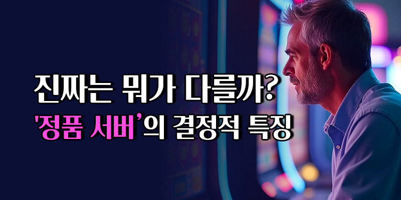 프라그마틱 슬롯 정품 서버 특징